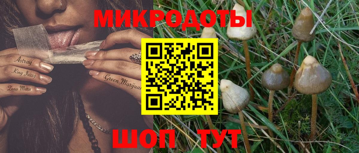 Псилоцибиновые грибы Psilocybe  Вход с VPN  Коркино 